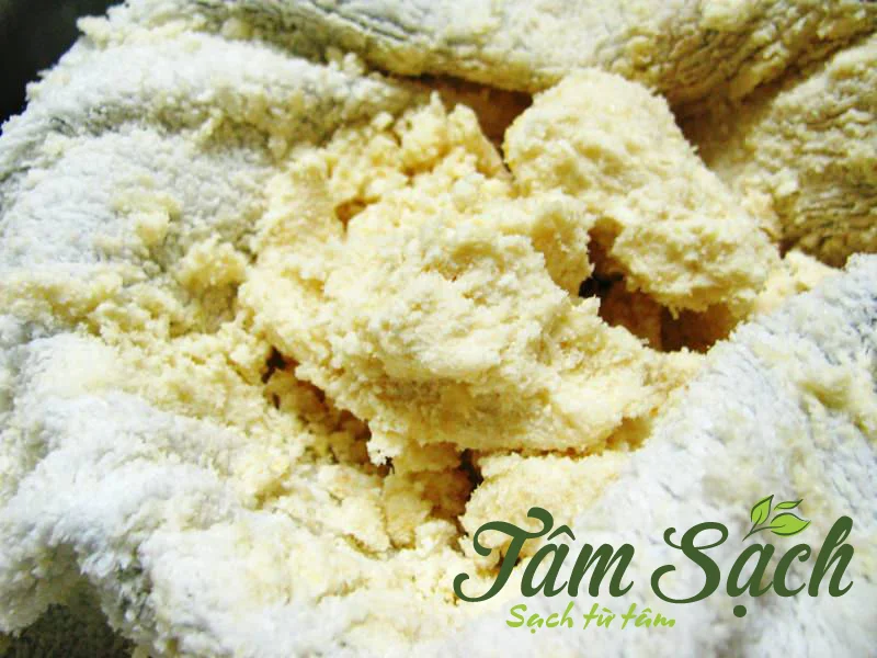 giun trùn quế giống