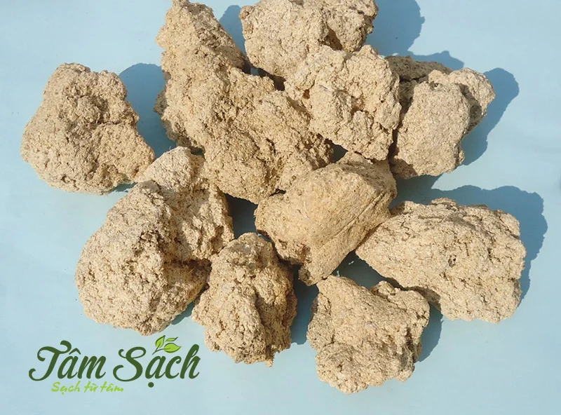 giun trùn quế giống