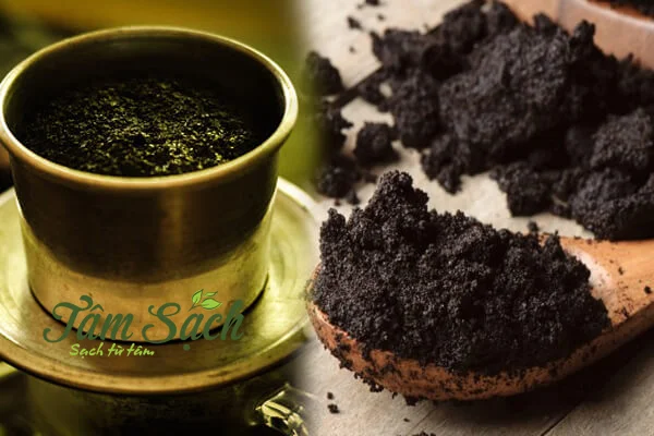 giun trùn quế giống