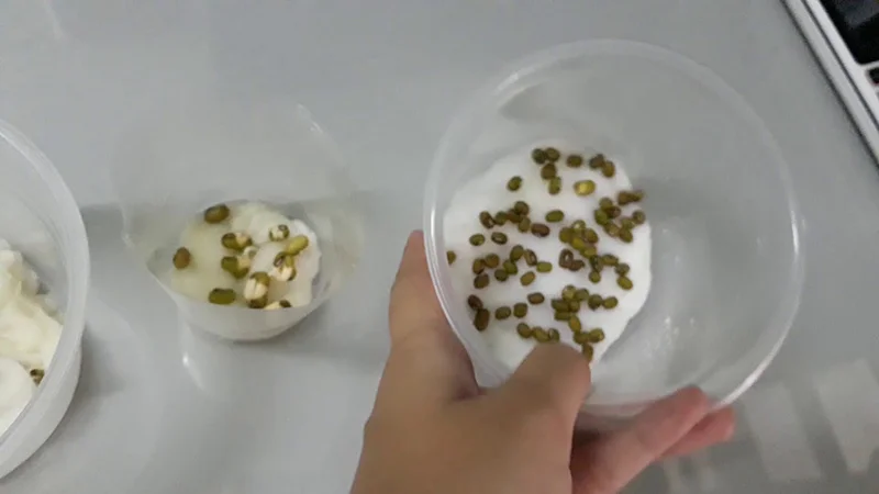 Sử dụng rau mầm