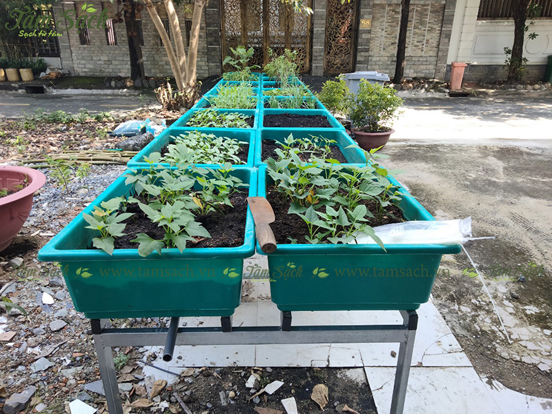 địa chỉ mua bán kệ trồng rau sạch