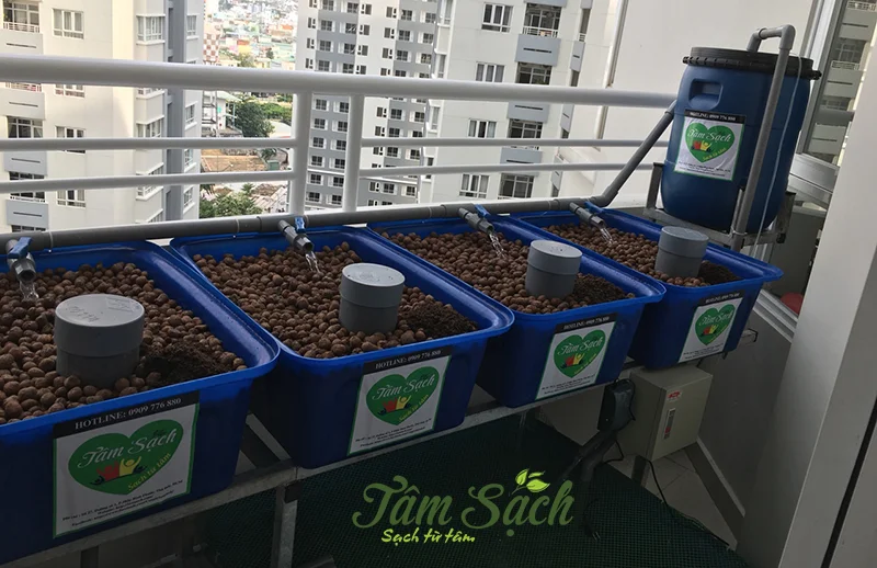 Giàn trồng rau sạch ban công Aquaponics