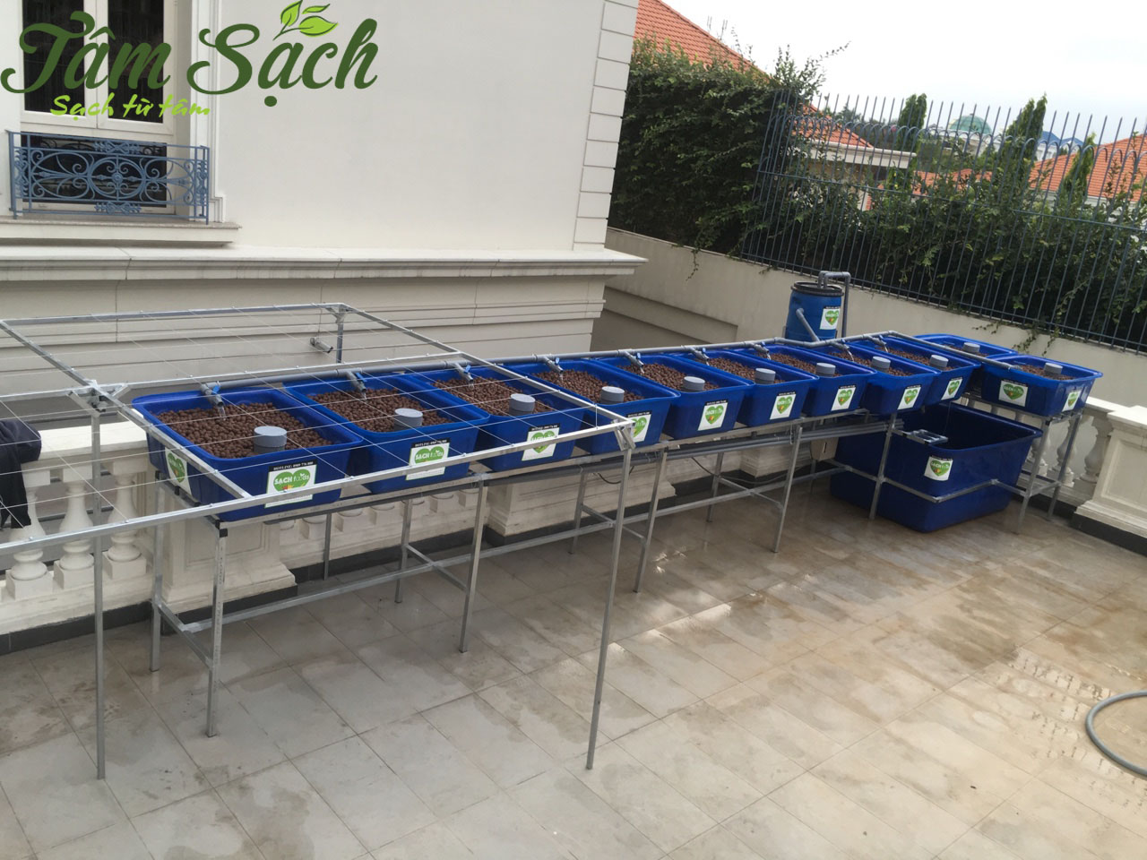 Mô hình trồng rau sạch trên sân thượng Aquaponics