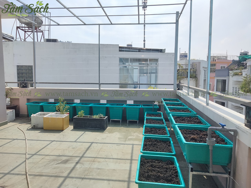 Giàn trồng rau 2 tầng
