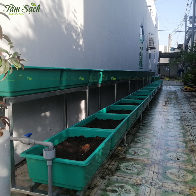 Giàn trồng rau sạch 2 tầng