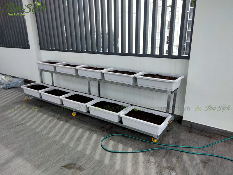 Giàn trồng rau sạch 2 tầng