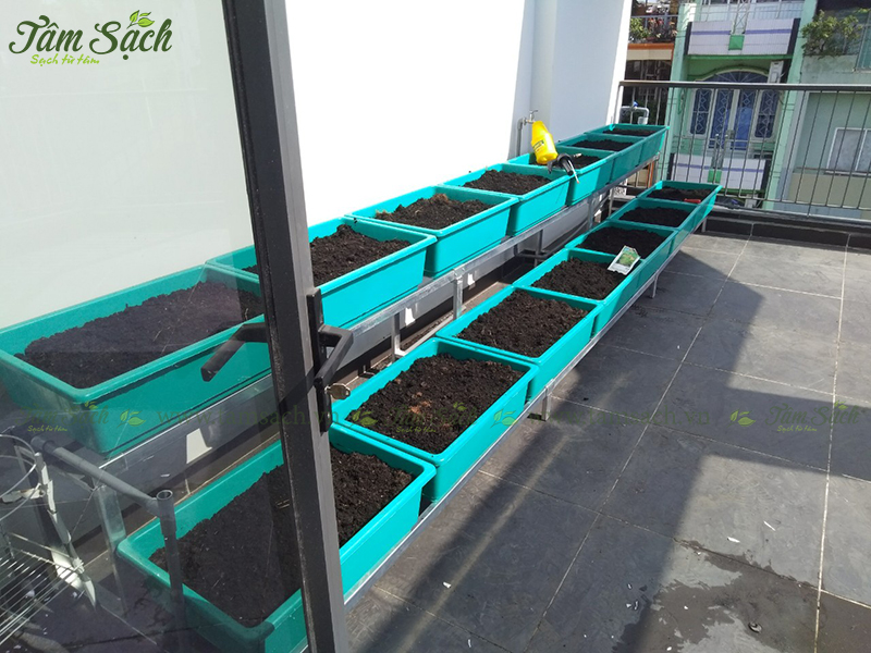 Giàn trồng rau sạch 2 tầng
