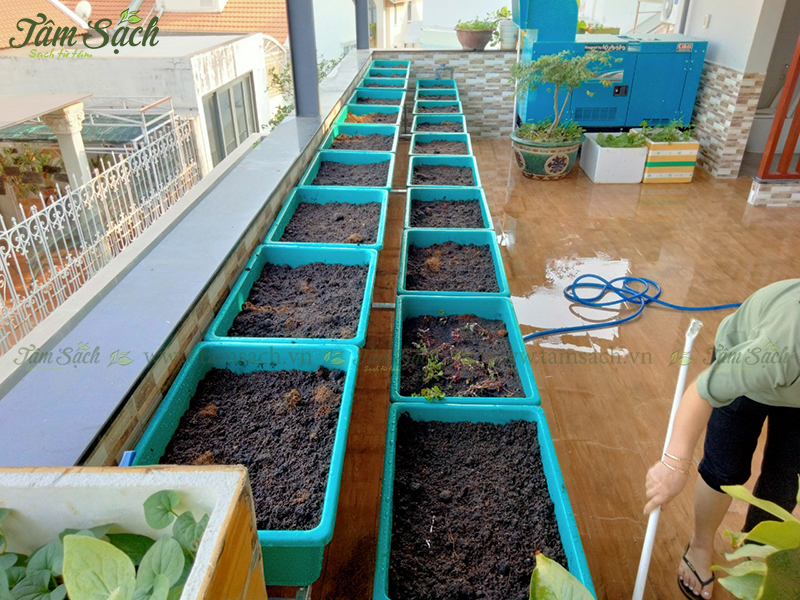 Giàn trồng rau sạch 2 tầng