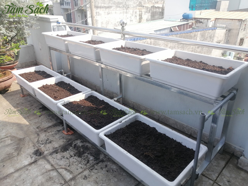 Giàn trồng rau sạch 2 tầng