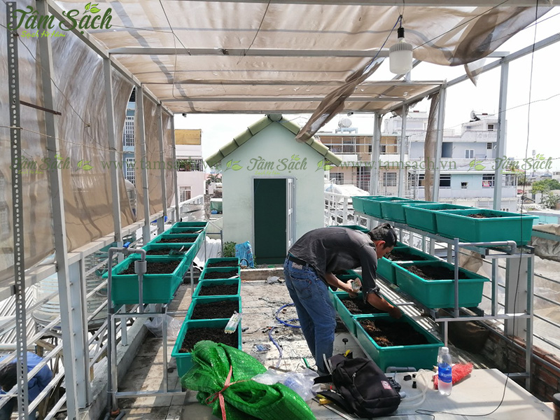 Kệ trồng rau sạch