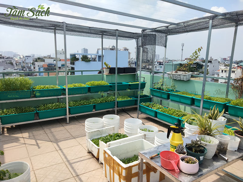 kệ trồng rau sạch 2 tầng HCM