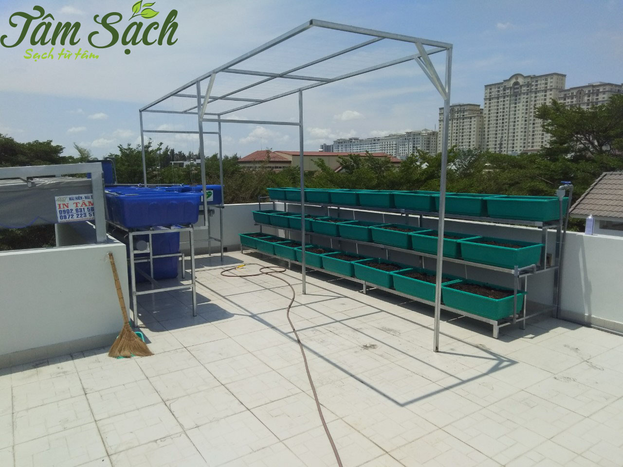 mô hình trồng rau hữu cơ