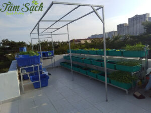 Mô hình trồng rau hữu cơ