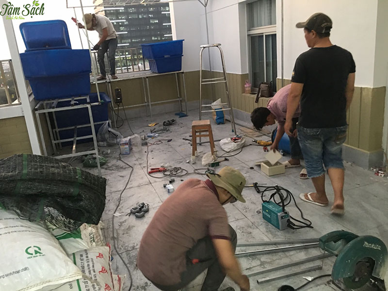 vườn rau gia đình