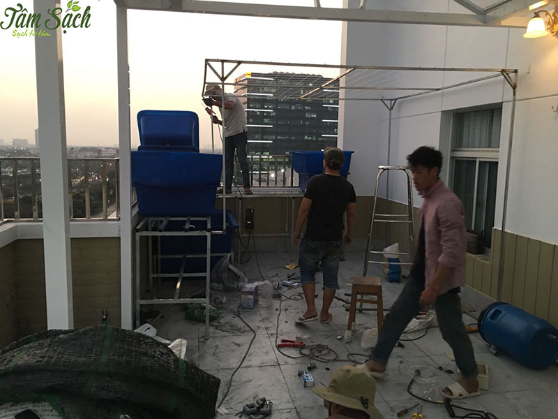 vườn rau gia đình