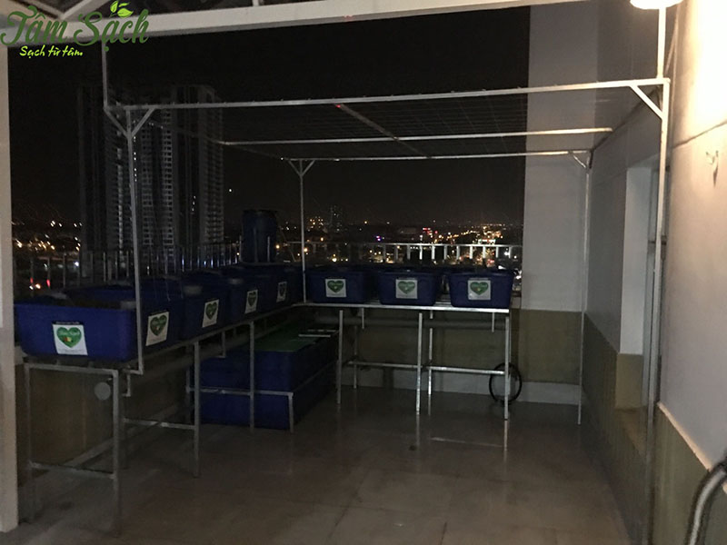 vườn rau gia đình