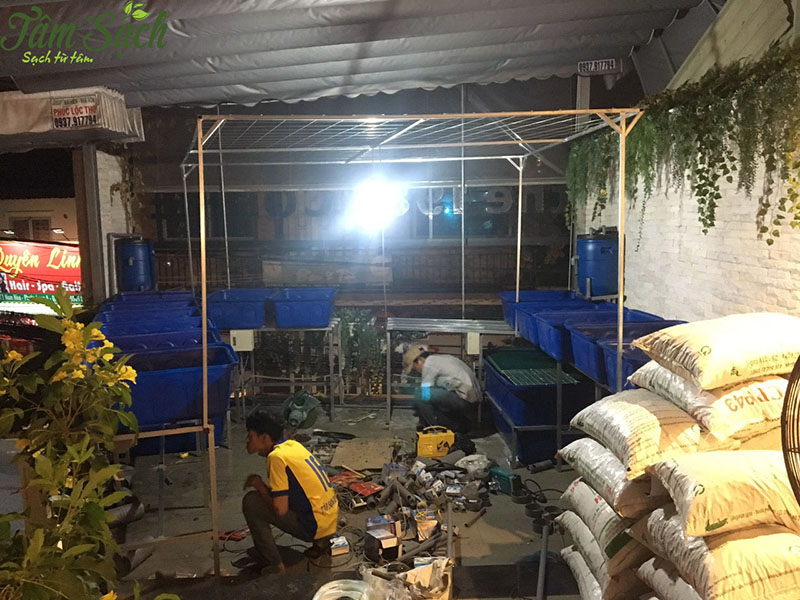 vườn rau tại nhà