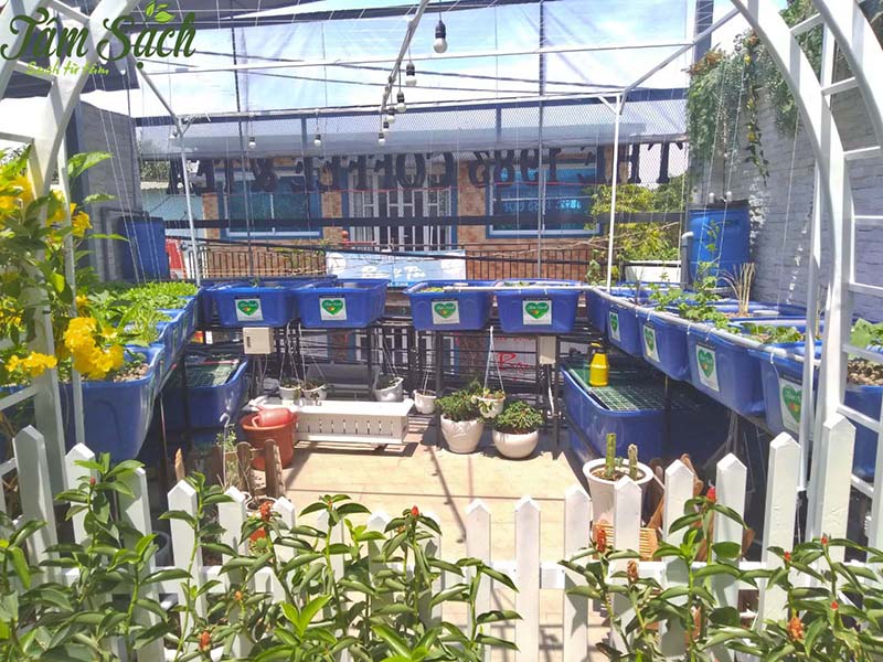 vườn rau tại nhà