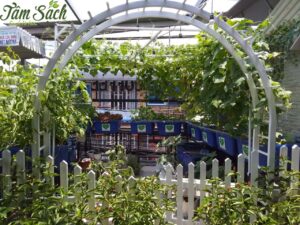 vườn rau tại nhà