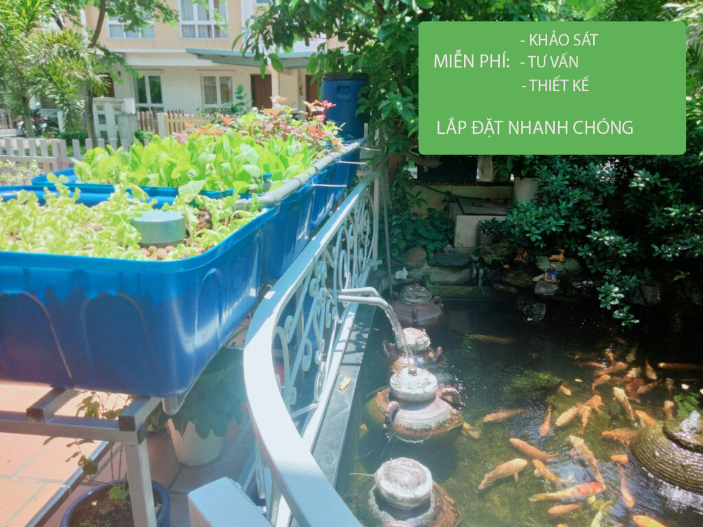 công ty tâm sạch thi công vườn rau