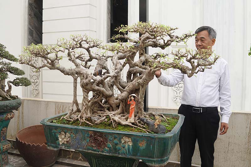 Vườn cây trên sân thượng Vườn cây trên sân thượng