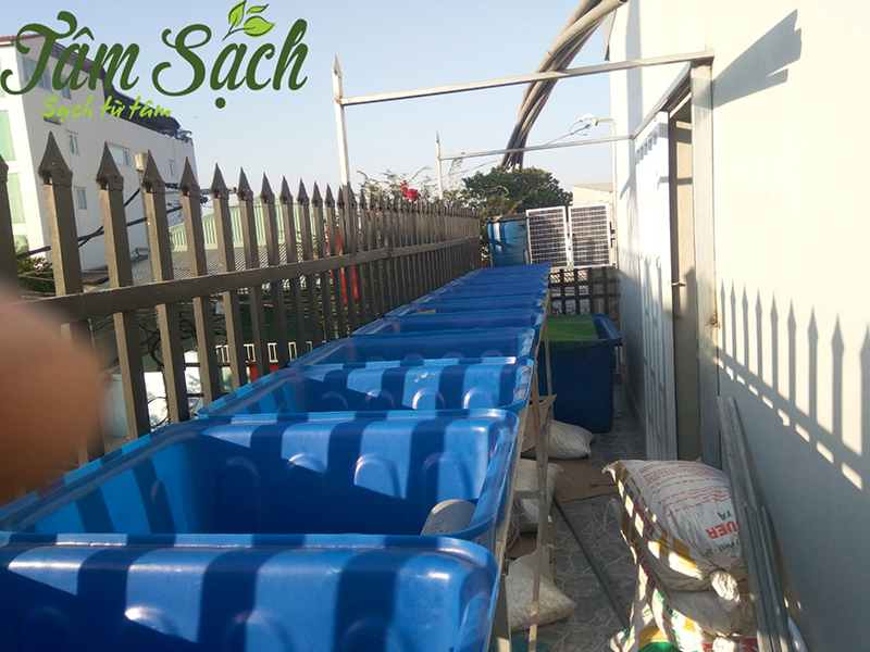 hệ thống Aquaponics đơn giản cho ban công