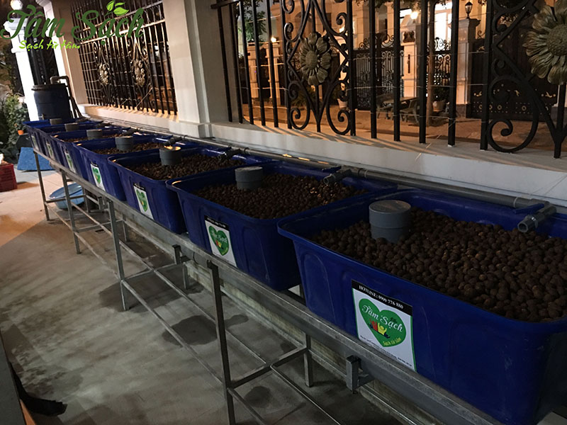 hệ thống trồng rau sạch tại nhà