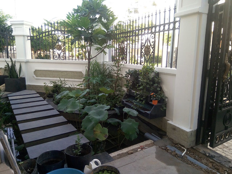 hệ thống trồng rau sạch tại nhà