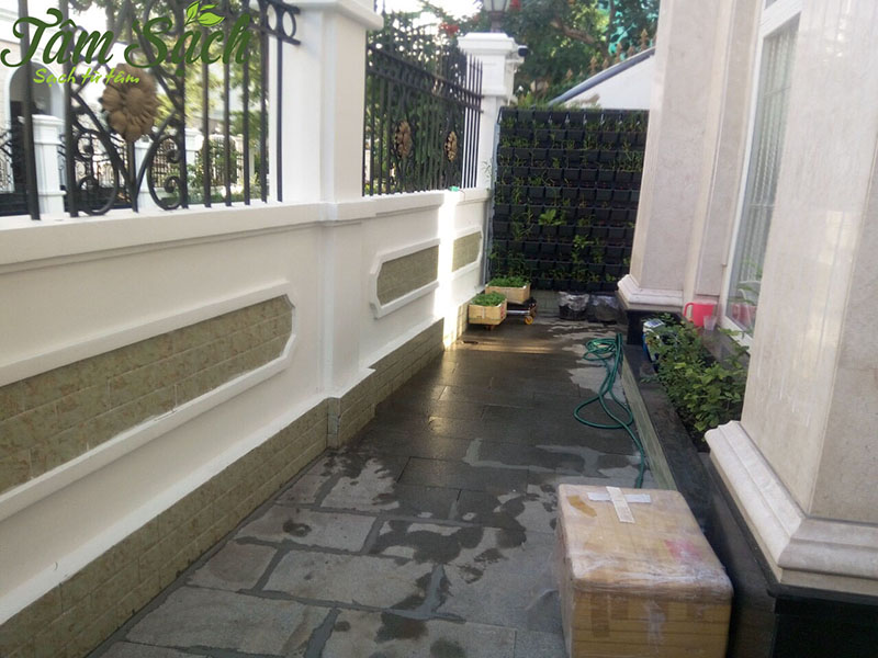 hệ thống trồng rau sạch tại nhà