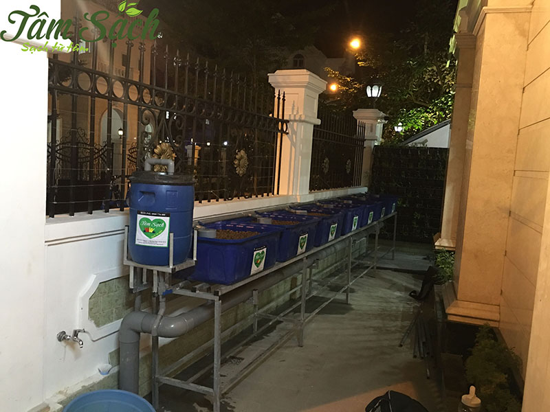 hệ thống trồng rau sạch tại nhà