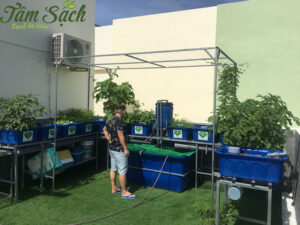 làm hệ thống Aquaponics