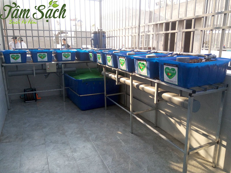 Mẫu vườn rau trên sân thượng