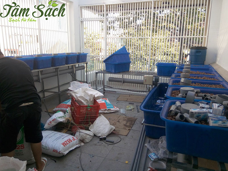 thiết kế vườn rau gia đình