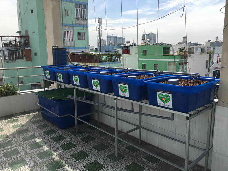 thiết kế vườn rau gia đình