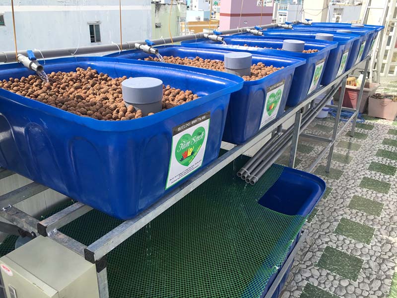 thiết kế vườn rau gia đình