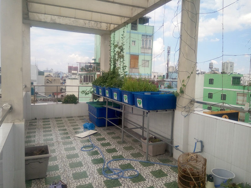 thiết kế vườn rau gia đình