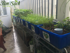 vừa trồng rau vừa nuôi cá