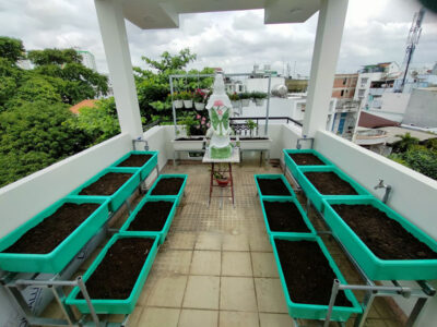 bộ 6 khay trồng rau thông minh