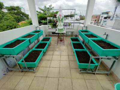 bộ 6 khay trồng rau thông minh