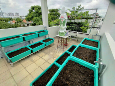 bộ 6 khay trồng rau thông minh