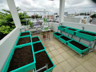 bộ 6 khay trồng rau thông minh