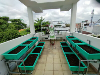 bộ 6 khay trồng rau thông minh