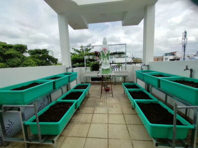 bộ 6 khay trồng rau thông minh