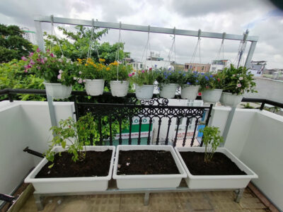 bộ kệ 3 khay trồng rau hoa kết hợp