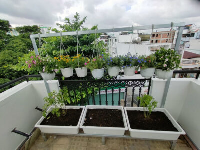 bộ kệ 3 khay trồng rau hoa kết hợp