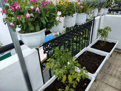 bộ kệ 3 khay trồng rau hoa kết hợp