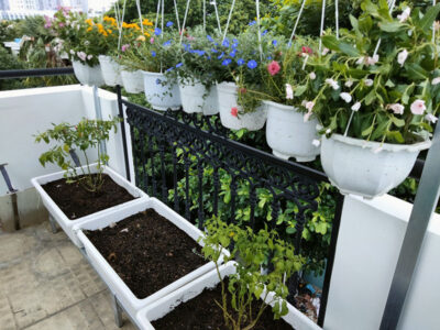 bộ kệ 3 khay trồng rau hoa kết hợp