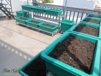 chậu vuông trong rau cây hoa