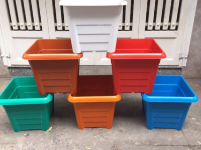 chậu vuông trong rau cây hoa