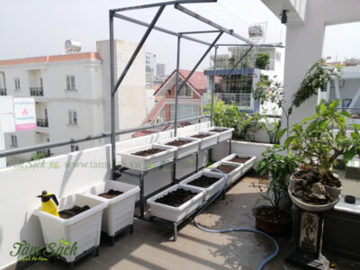 chậu vuông trong rau cây hoa